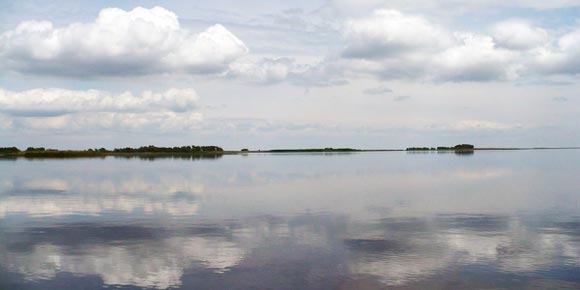 Дельта Волги