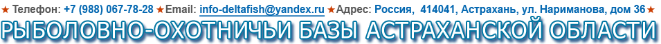 Рыбалка в Астрахани